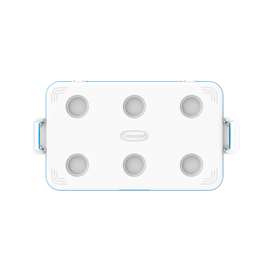 60L KeepCold Picnic Icebox