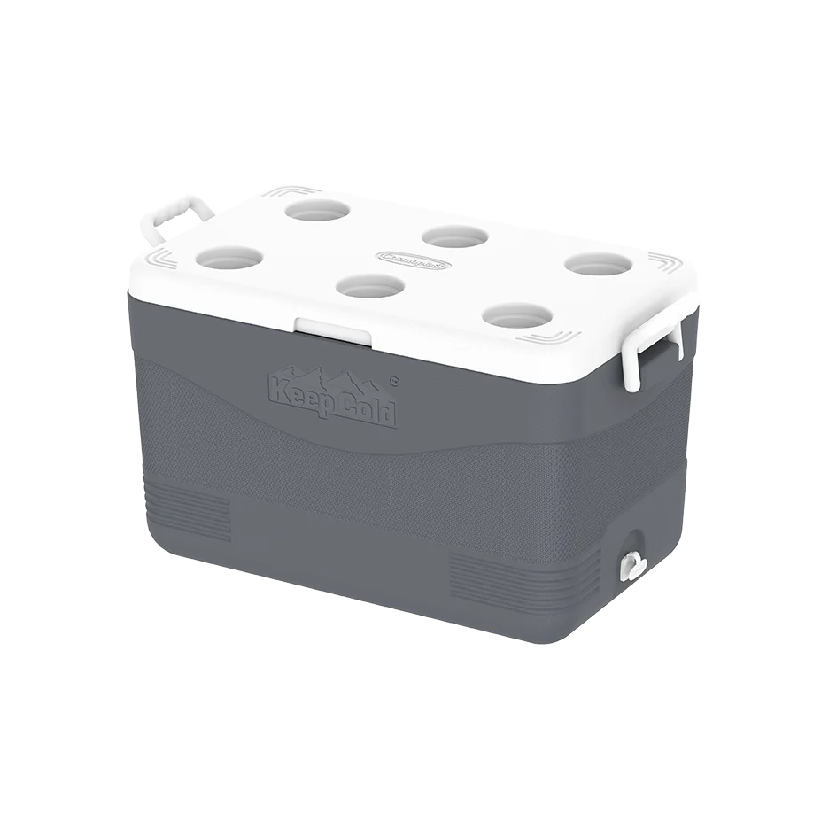 60L KeepCold Picnic Icebox