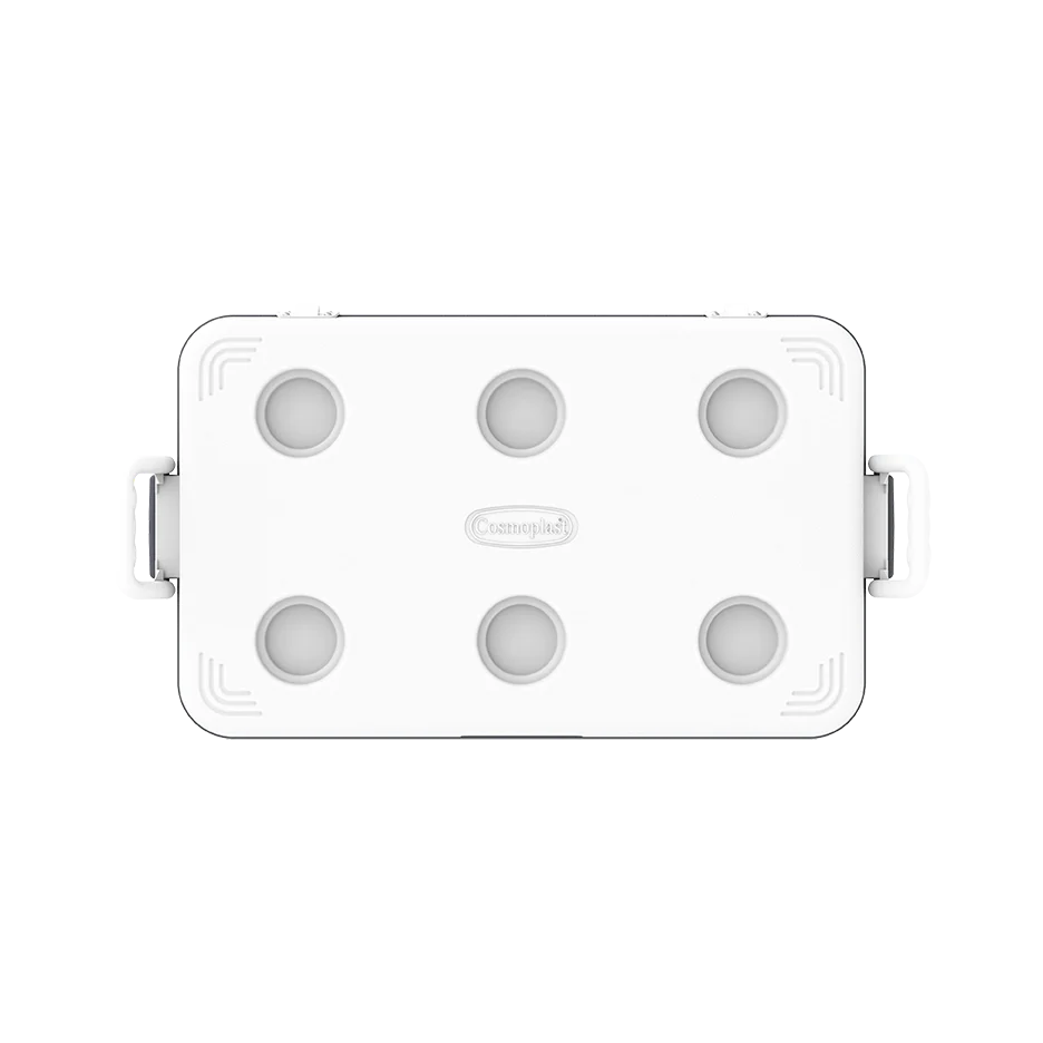 60L KeepCold Picnic Icebox