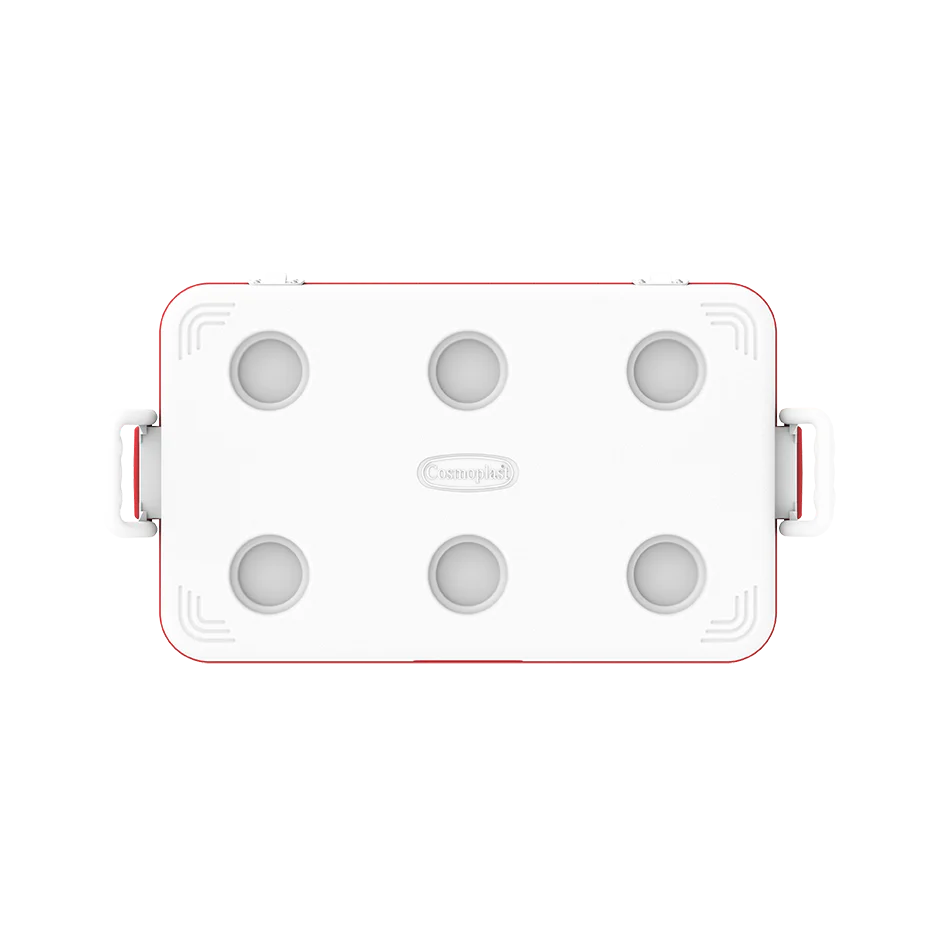 60L KeepCold Picnic Icebox