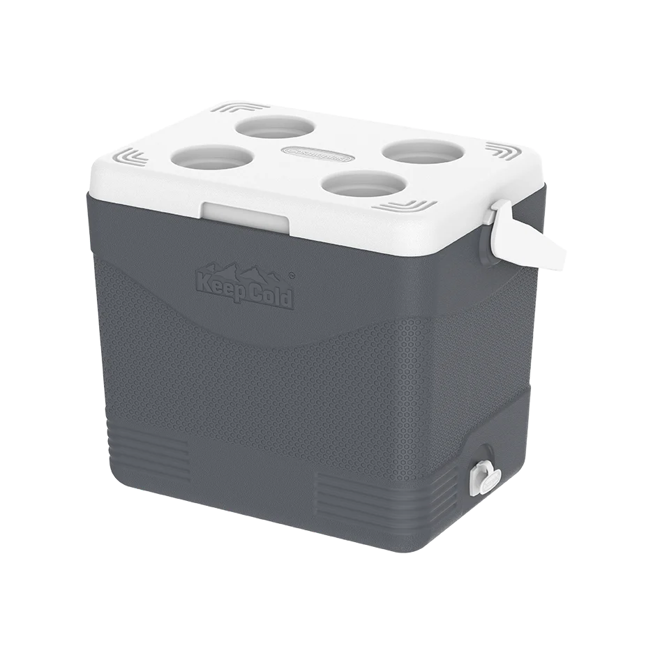 24L KeepCold Picnic Icebox