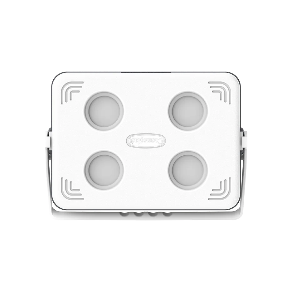 24L KeepCold Picnic Icebox