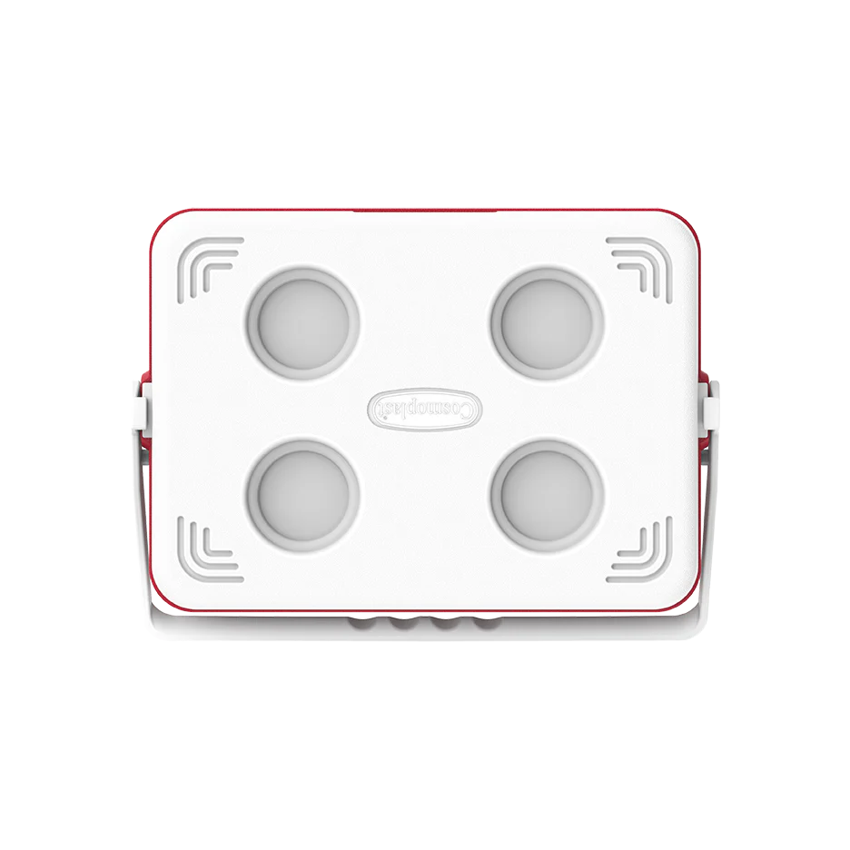 24L KeepCold Picnic Icebox